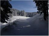 Grahovše - Planina Zgornja Konjščica